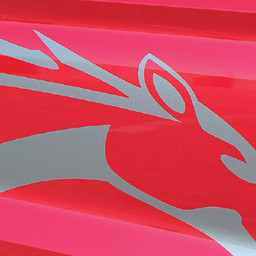 Ford Mustang Steed Kit - Side - 15 & up Ford Mustang Steed Kit - Side - 15 & up