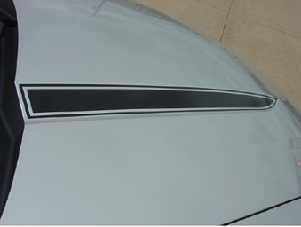 Ford Mustang Dominator Hood Spear (Blank) - Hood - 10 thru 12 Ford Mustang Dominator Hood Spear (Blank) - Hood - 10 thru 12