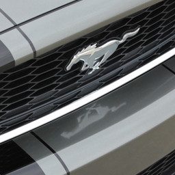 Ford Mustang Venom 1 (w/o lip spoiler) - Rally - 13 & 14