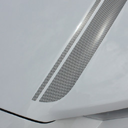 FORD Mustang Cali Kit With Mustang Name (Screen Print) - 2013 & 2014 FORD Mustang Cali Kit With Mustang Name (Screen Print) - 2013 & 2014