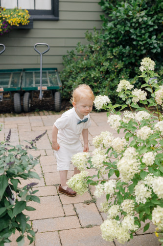 Formal European-Style Garden Family Session with Renee Jean Photography 