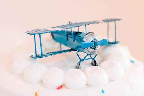 Beau's Second Birthday - Vintage Airplane Theme