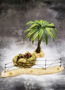 TRE001D Small Palm (Desert)