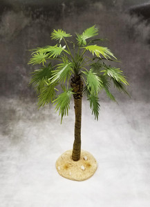 TRE005D Sugar Palm (Desert)