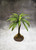 TRE001 Small Palm (Jungle)