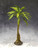 TRE007 Large Jungle Palm