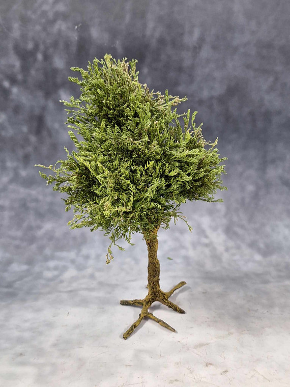 TRE004 Large Deciduous Tree