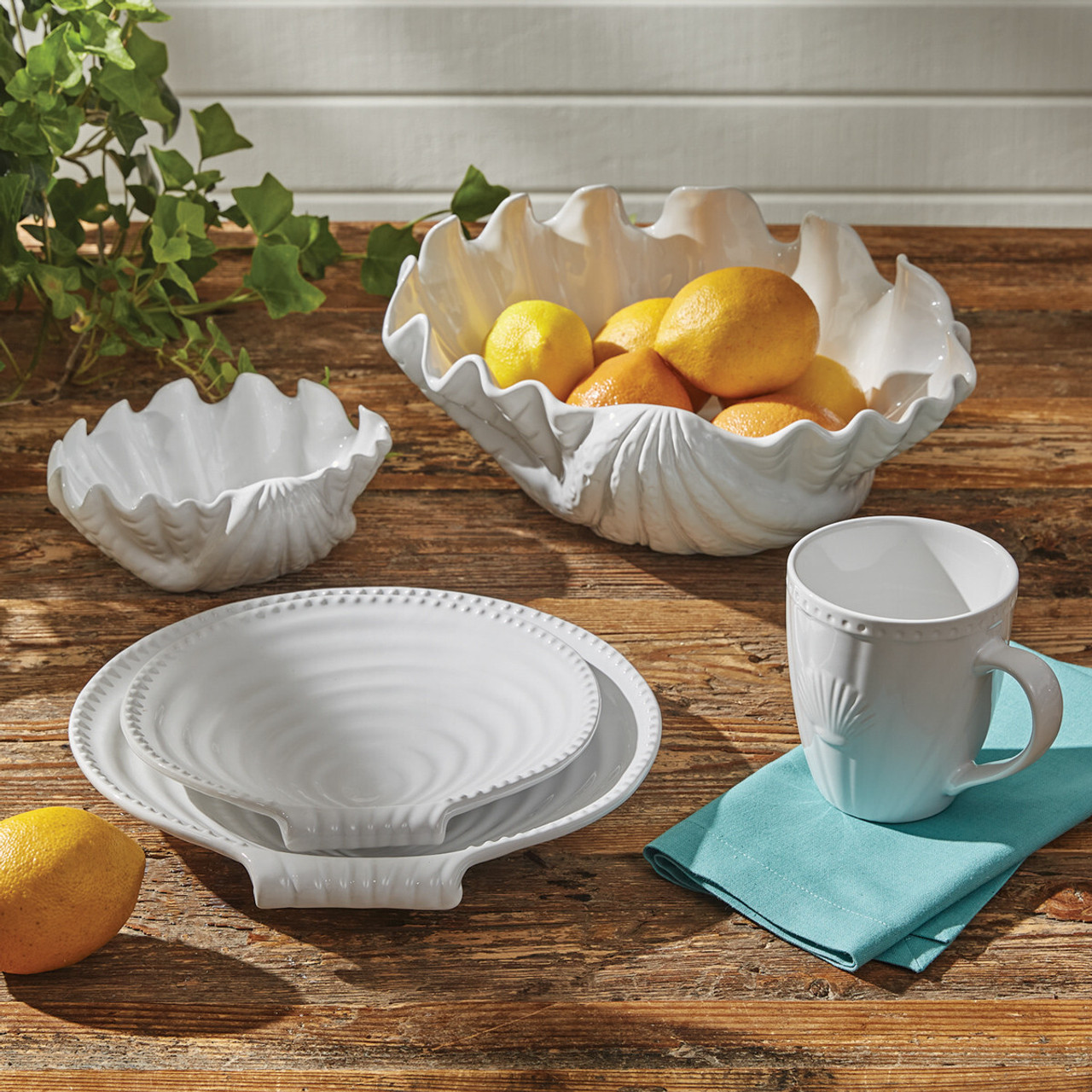 Seashell White Dinnerware Seashell White Dinnerware