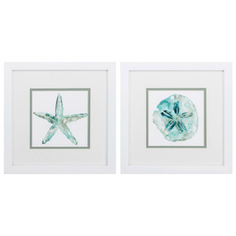 Turquoise Water Sand Dollar and Starfish Art - Set of 2