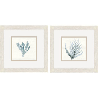 Ocean Blue Flora Framed Art - Set of Two Ocean Blue Flora Framed Art - Set of Two