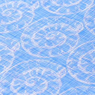 Sea and Shore Shells Blue Indoor-Outdoor Rug close up