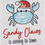 Sandy Claws Set of Two Pom-Pom Dishtowels close up image