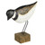By the Shore Eddy Sea Bird Decor Accent