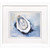 Blue Oyster Mollusk Shell II Framed in White