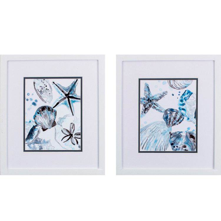 Cerulean Sea Life I White Framed Art- Set of Two