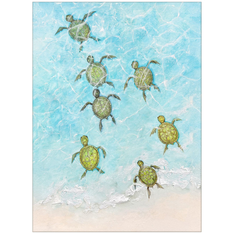 Escaping to the Sea – Baby Turtles I