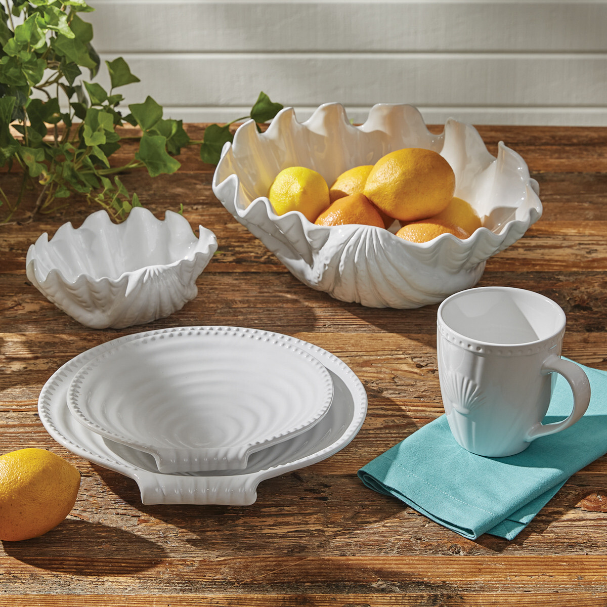 Seashell White Dinnerware
