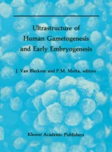 Ultrastructure of Human Gametogenesis and Early Embryogenesis by P. Motta | Jonathan van Blerkom