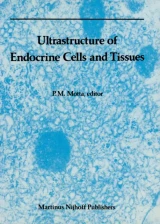 Ultrastructure of Endocrine Cells and Tissues by P. Motta