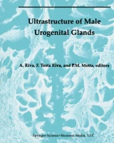 Ultrastructure of the Male Urogenital Glands by P. Motta | Francesca Testa Riva | Allessandro Riva