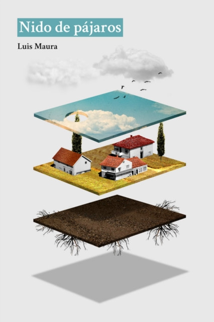Nido de pájaros
