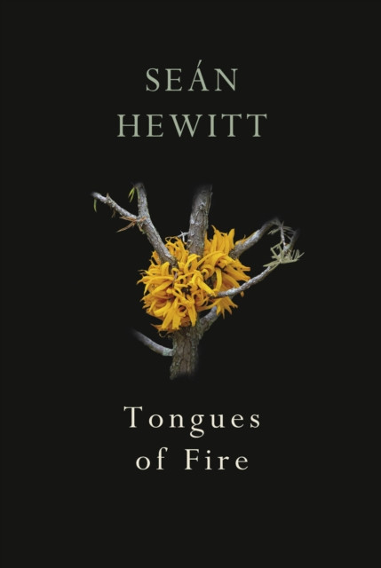 Tongues of Fire: From the award-winning author of Open, Heaven