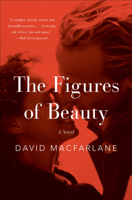 Figures of Beauty: A Novel