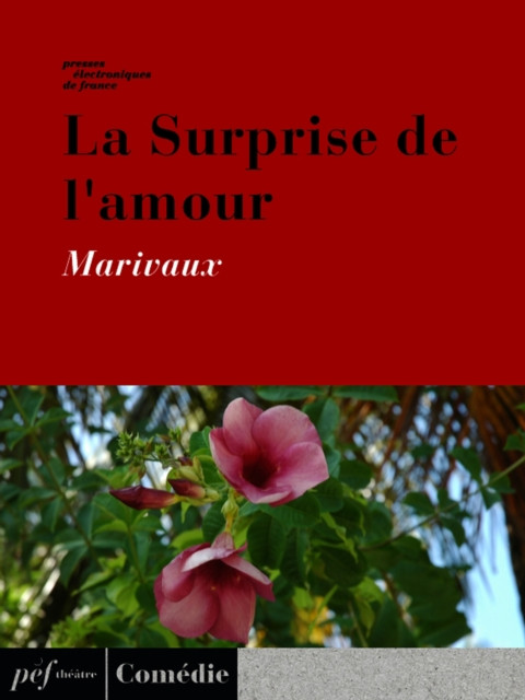 La Surprise de l'amour