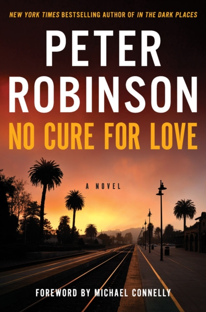 No Cure for Love: A Novel