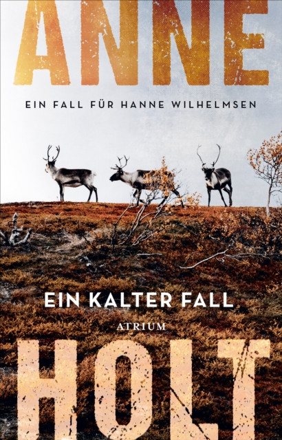 Ein kalter Fall: Ein Fall für Hanne Wilhelmsen