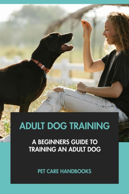 Adult Dog Training: A Beginners Guide to Training An Adult Dog