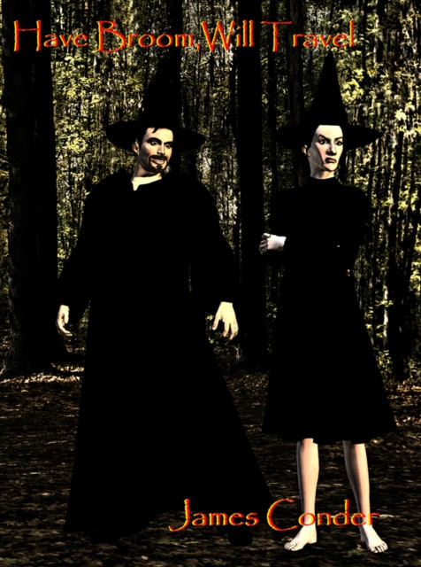 Have Broom, Will Travel