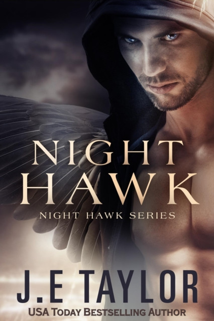 Night Hawk: Night Hawk Series, #1