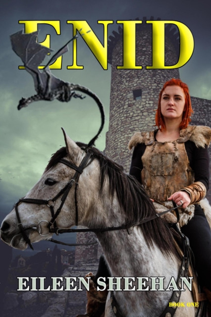Enid (Book 1): Enid Trilogy, #1