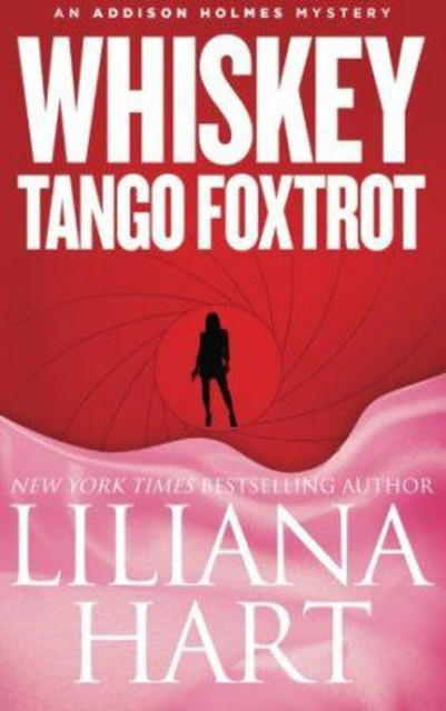 Whiskey Tango Foxtrot: Addison Holmes, #6
