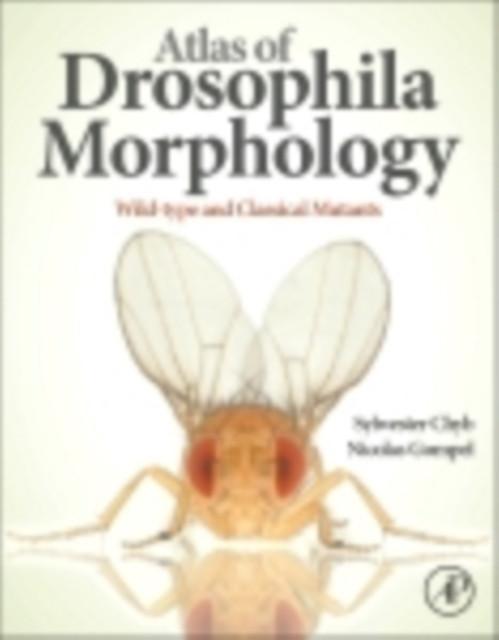 Atlas of Drosophila Morphology: Wild-type and Classical Mutants
