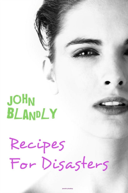Recipes for Disasters: romantic comedy