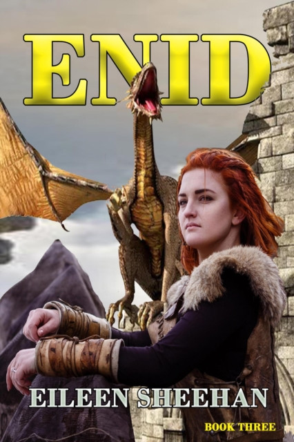 ENID (Book 3): Enid Trilogy, #3