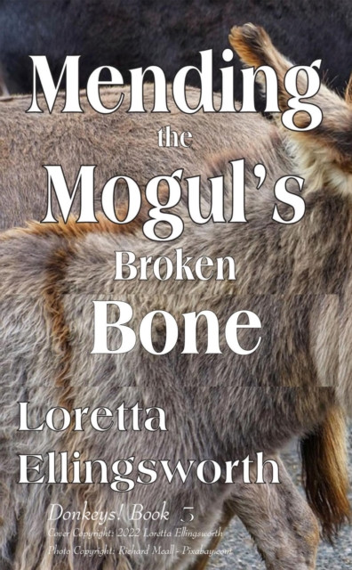 Mending the Mogul's Broken Bone: Donkeys!, #5