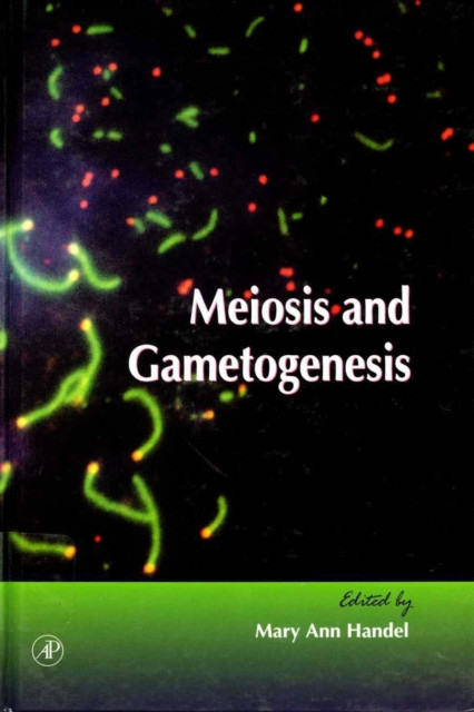 Meiosis and Gametogenesis