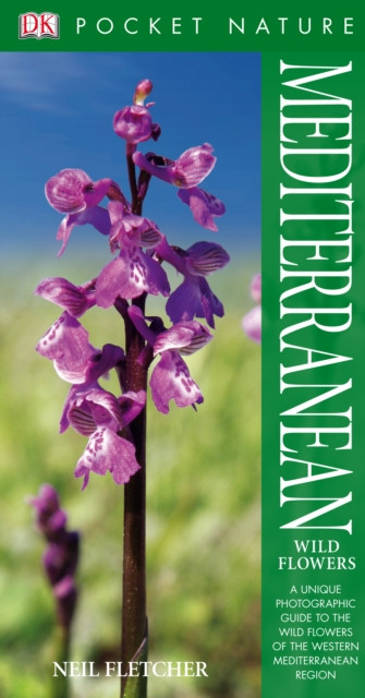 Mediterranean Wildflowers