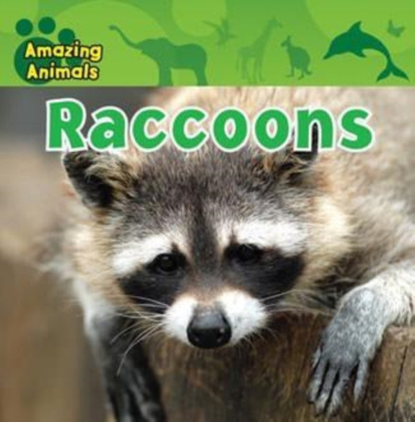 Raccoons