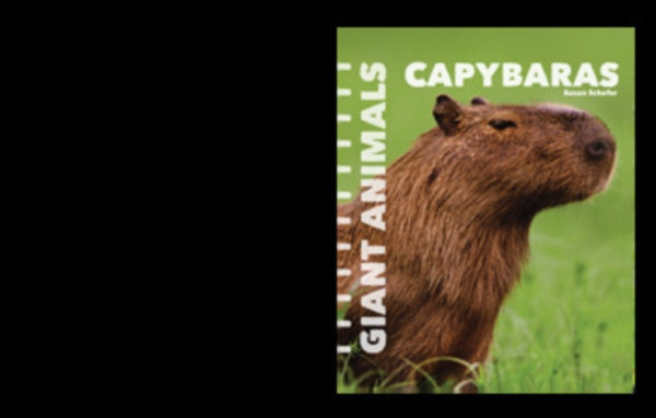Capybaras
