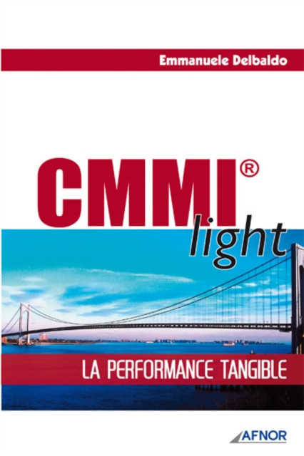 CMMI light