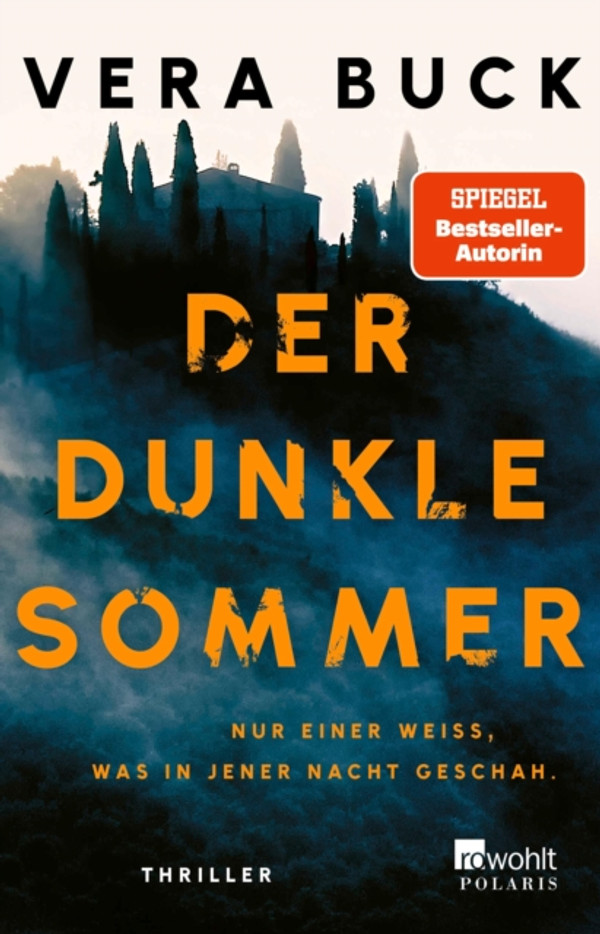 Der dunkle Sommer: Nur einer weiß, was in jener Nacht geschah.