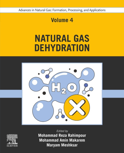 Advances in Natural Gas: Formation, Processing, and Applications. Volume 4: Natural Gas Dehydration