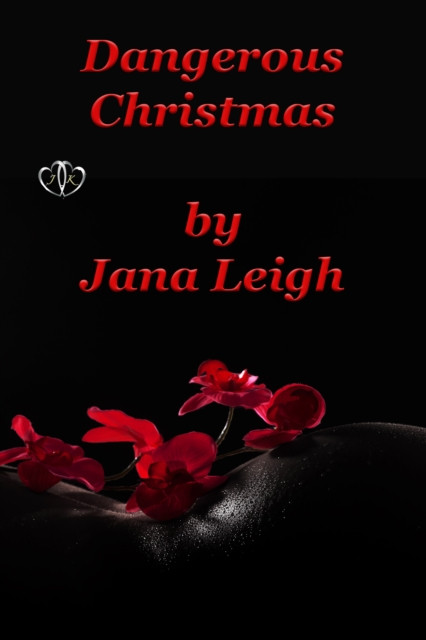 Dangerous Christmas