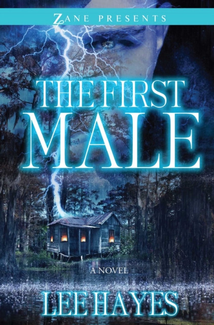 First Male: A Novel