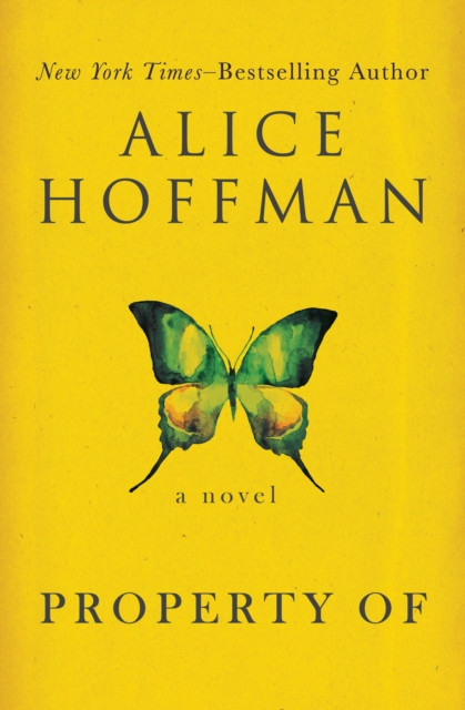 Property Of: A Novel