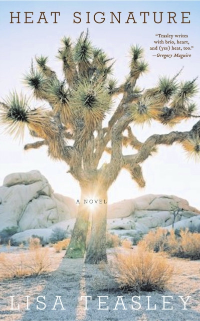 Heat Signature: A Novel